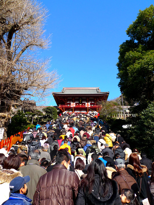 s2010-01-10_12-21-59.jpg