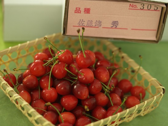 佐藤錦 さくらんぼ お取り寄せ