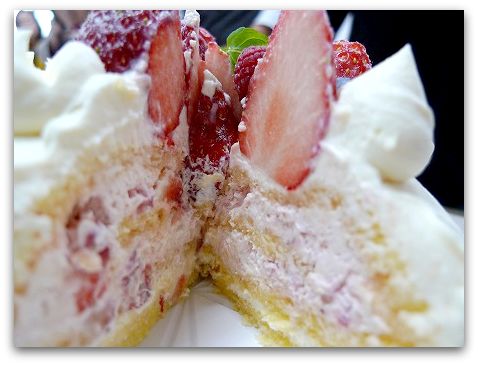 クリスマスケーキ 手作りキット クオカ