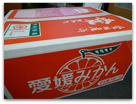 訳ありみかんをぐるなび食市場さんでお取り寄せしました。