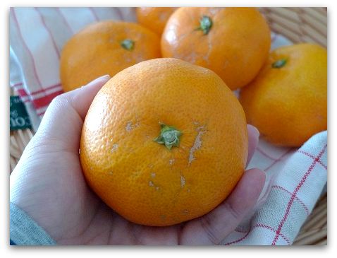 ぐるなび食市場で訳ありお取り寄せ