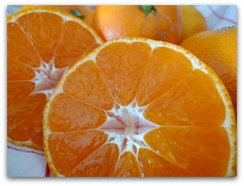 ぐるなび食市場で訳ありお取り寄せ