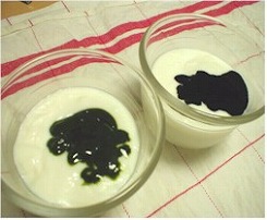 京みずは 抹茶と生クリームの杏仁豆腐をお取り寄せ